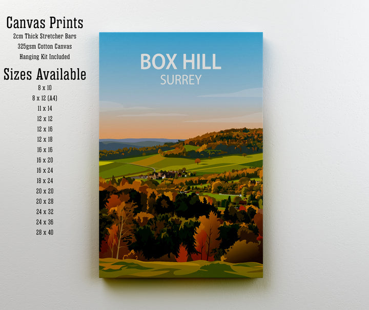 Box Hill Surrey