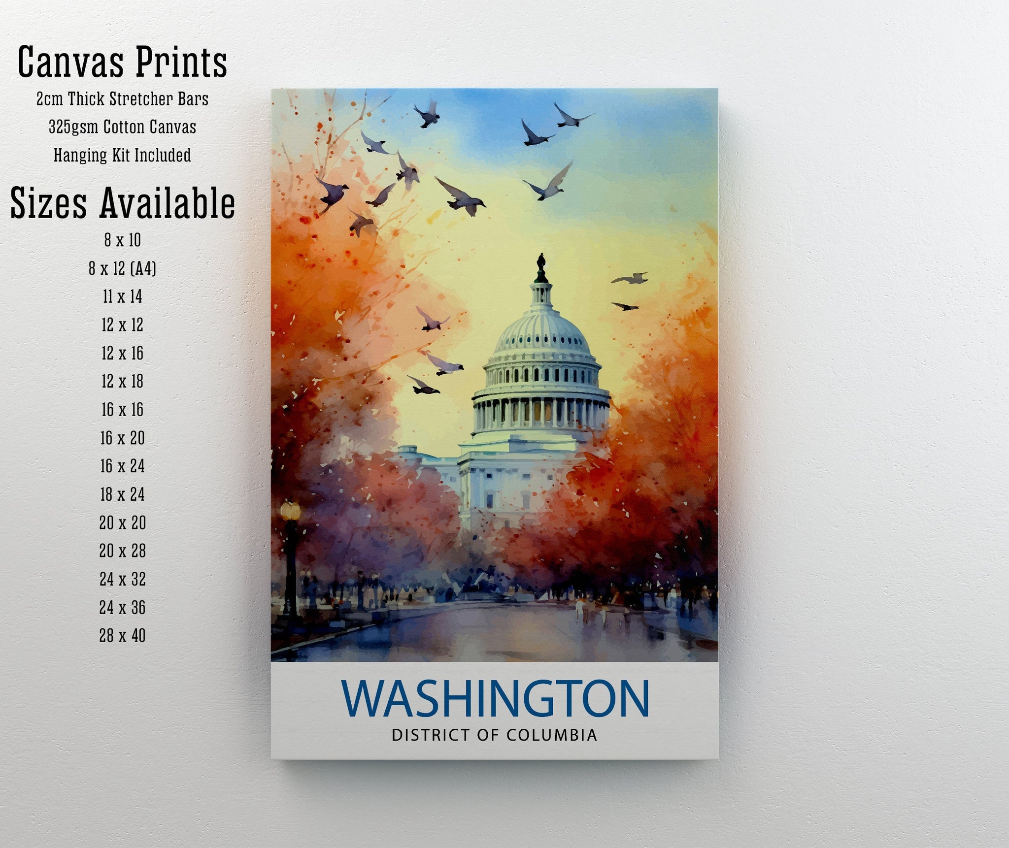Washington DC Travel Poster
