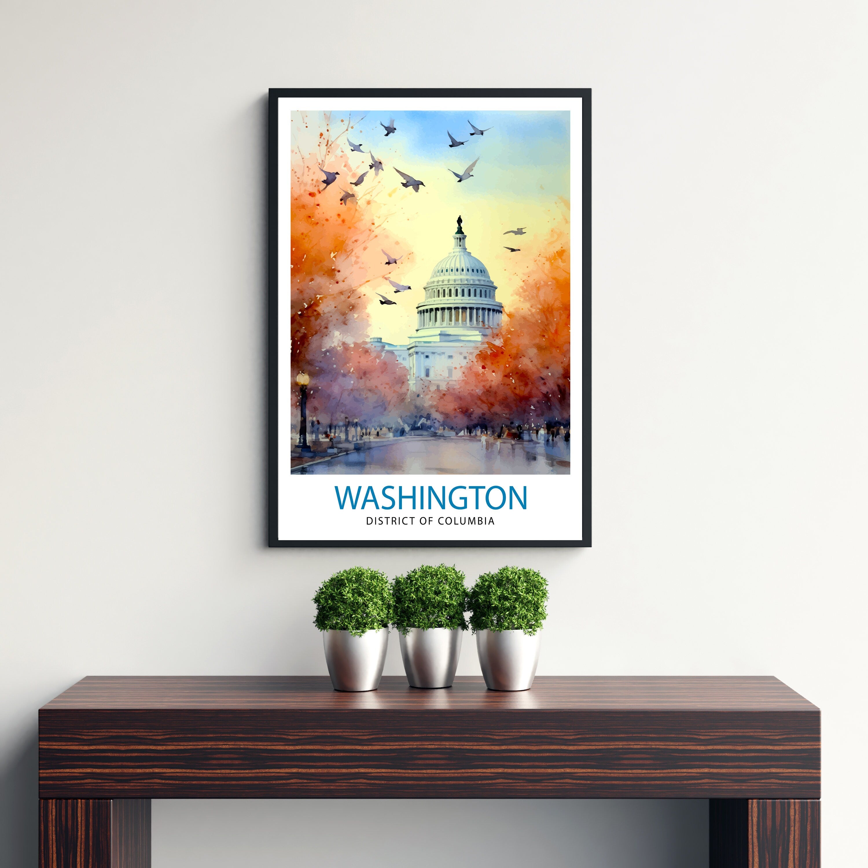 Washington DC Travel Poster