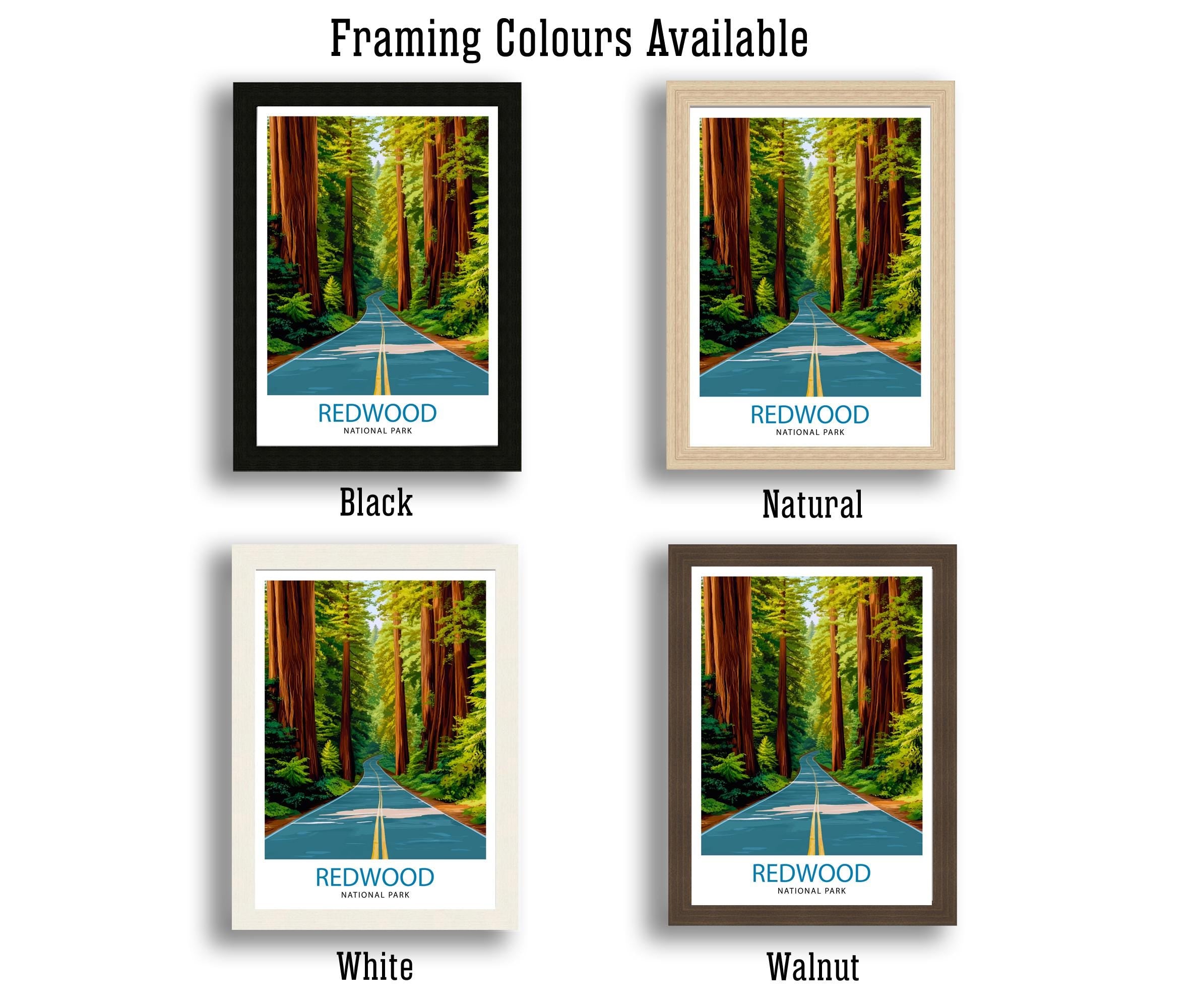 Redwood National Park California Travel Print Wall Decor Wall Art Redwood Forest Landscape Wall Hanging Home Décor National Park Gift Art