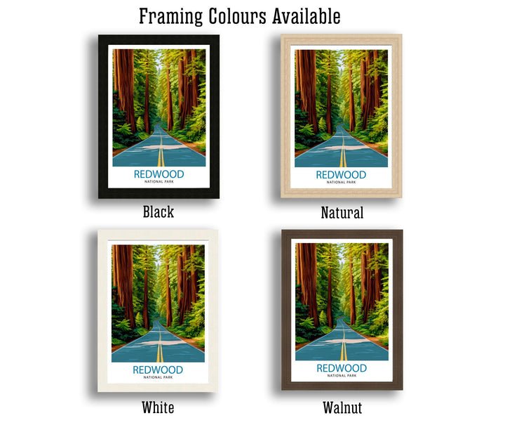 Redwood National Park California Travel Print Wall Decor Wall Art Redwood Forest Landscape Wall Hanging Home Décor National Park Gift Art