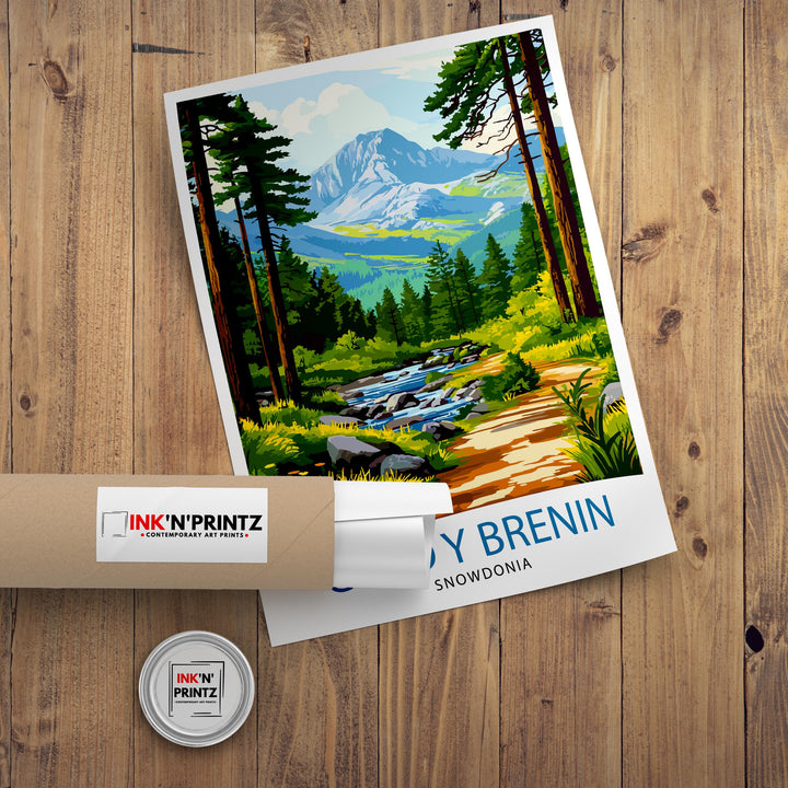 Coed y Brenin Forest Travel Poster