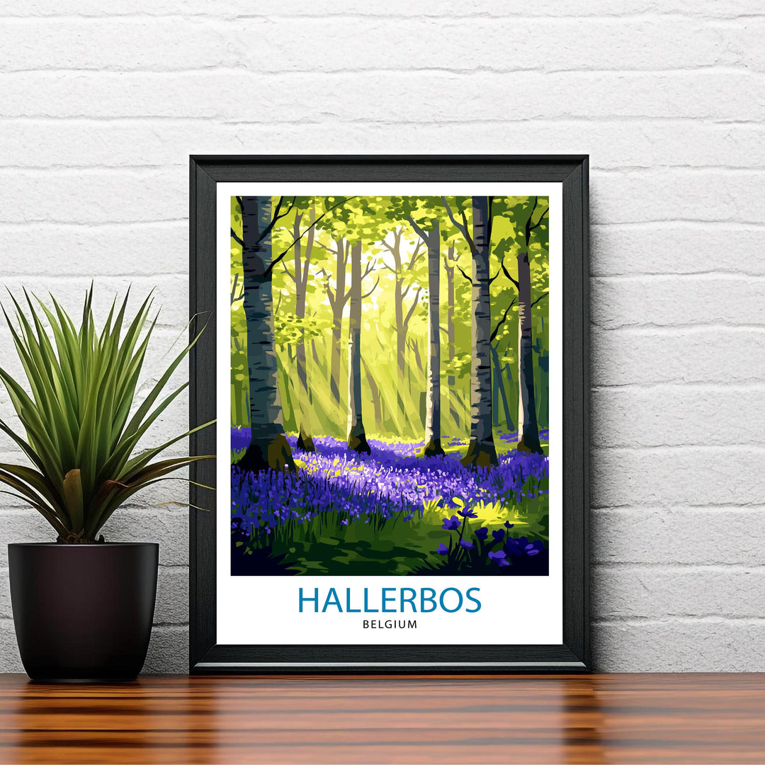 Hallerbos Forest Travel Poster