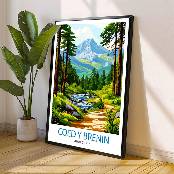 Coed y Brenin Forest Travel Poster