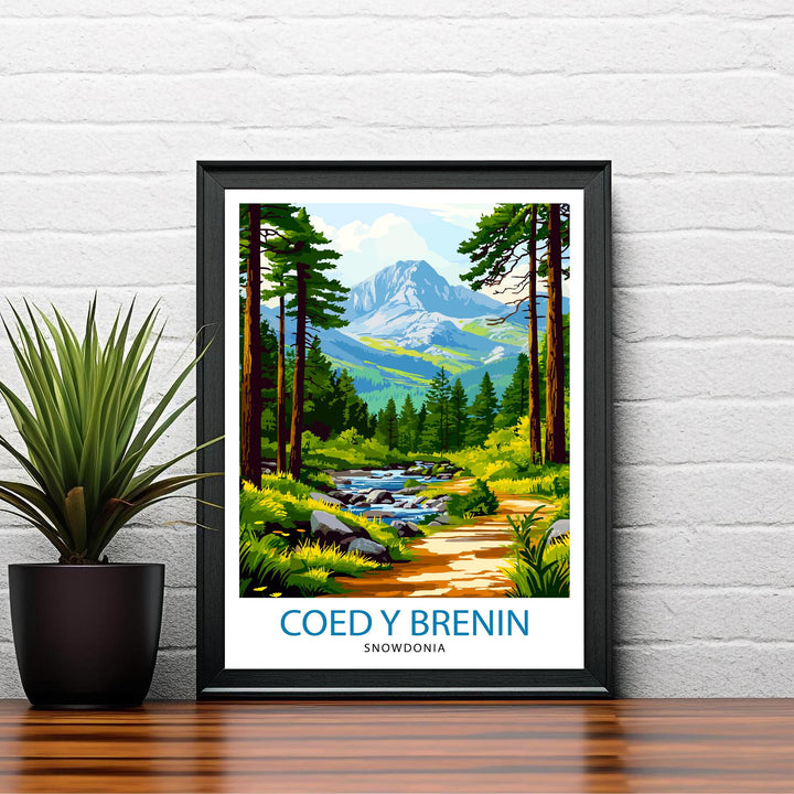 Coed y Brenin Forest Travel Poster