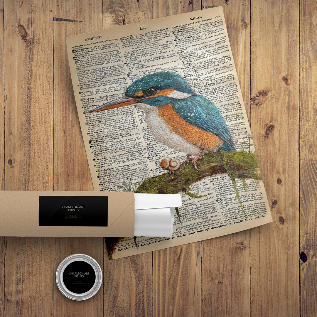 Kingfisher Encyclopedia Poster Vintage Nature Wall Art Cottagecore Decor Scientific Bird Illustration Print for Cozy Homes and Nature