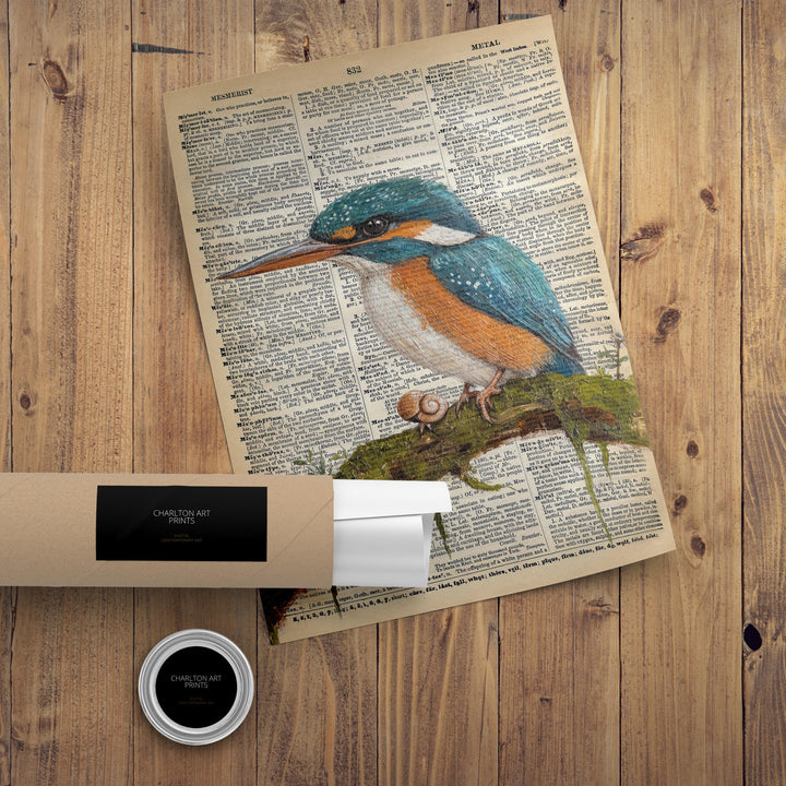 Kingfisher Encyclopedia Poster Vintage Nature Wall Art Cottagecore Decor Scientific Bird Illustration Print for Cozy Homes and Nature