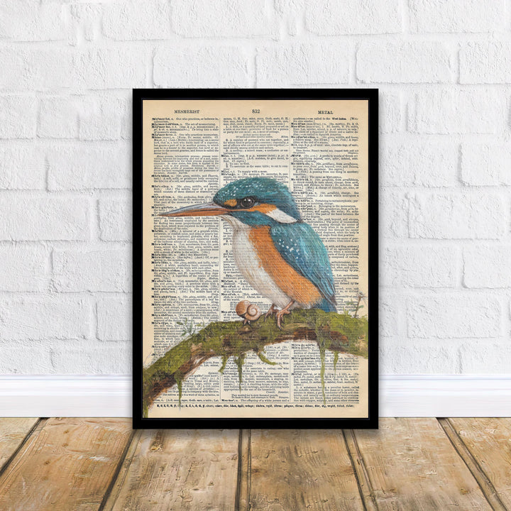 Kingfisher Encyclopedia Poster Vintage Nature Wall Art Cottagecore Decor Scientific Bird Illustration Print for Cozy Homes and Nature