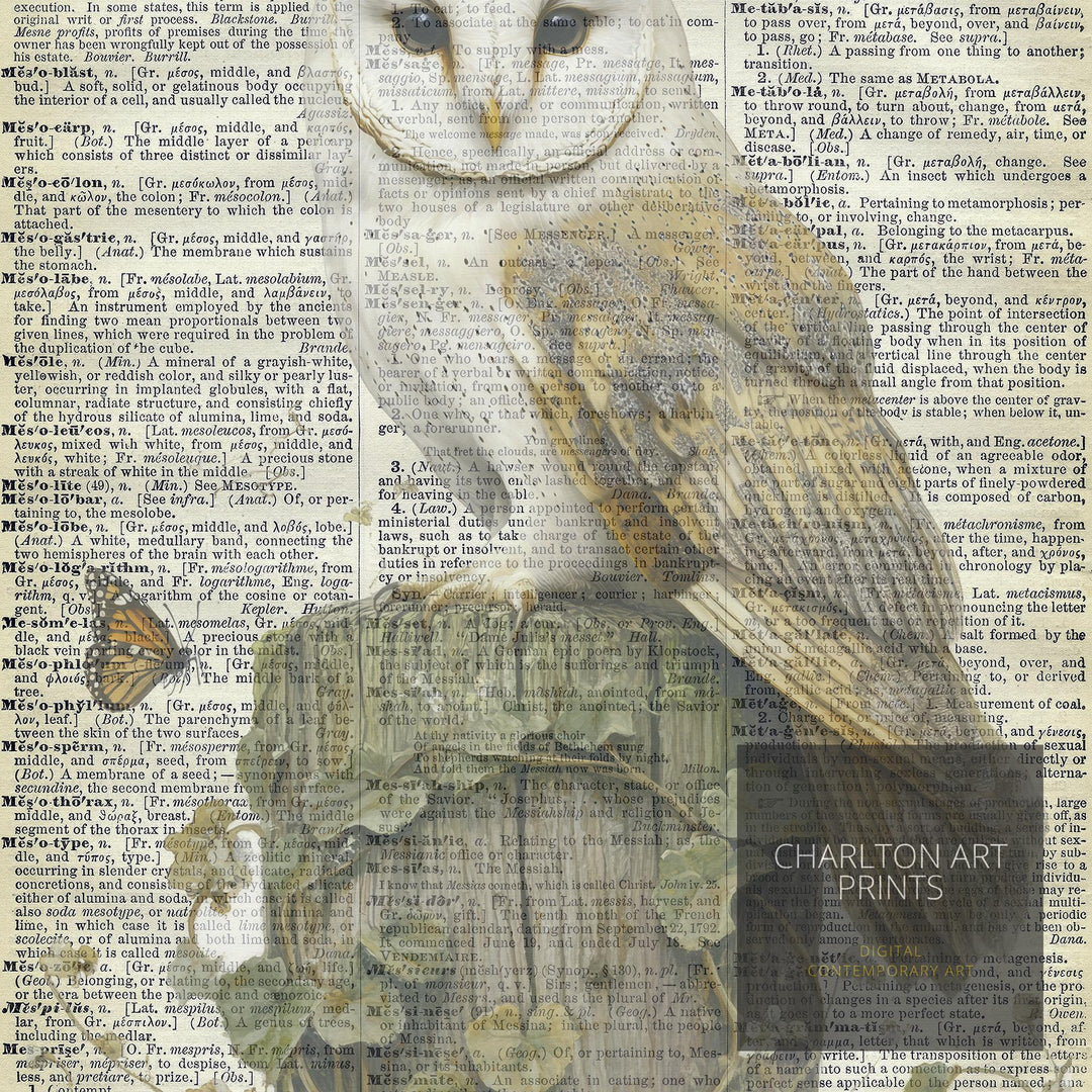 Barn Owl Encyclopedia Poster Vintage Nature Wall Art Cottagecore Decor Scientific Bird Illustration Print for Cozy Homes and Nature Inspired