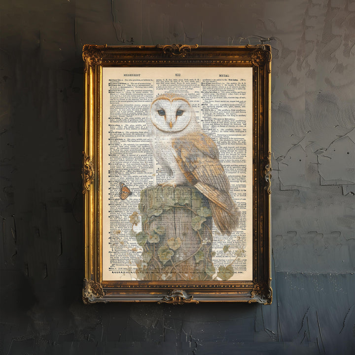 Barn Owl Encyclopedia Poster Vintage Nature Wall Art Cottagecore Decor Scientific Bird Illustration Print for Cozy Homes and Nature Inspired
