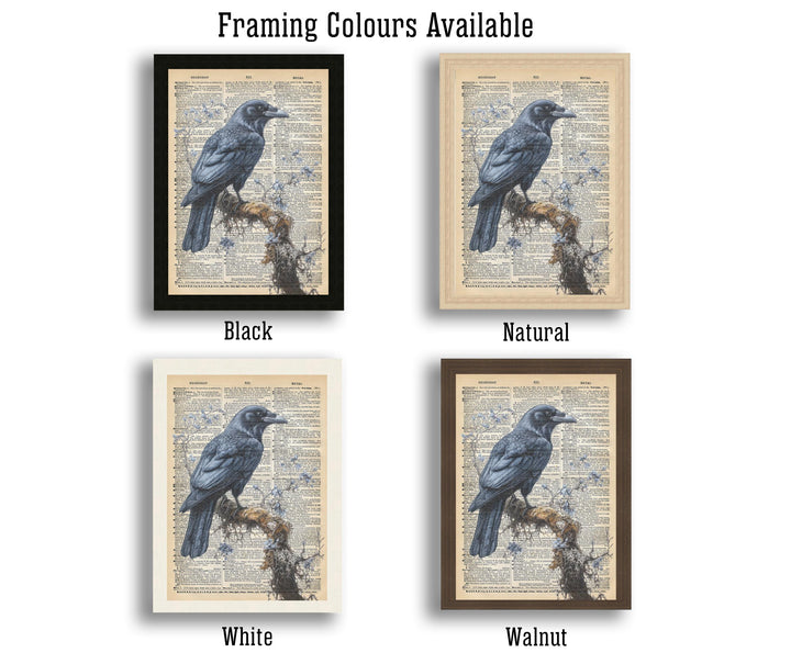 Raven Encyclopedia Poster Vintage Nature Wall Art Cottagecore Decor Scientific Bird Illustration Print for Cozy Homes and Nature Inspired