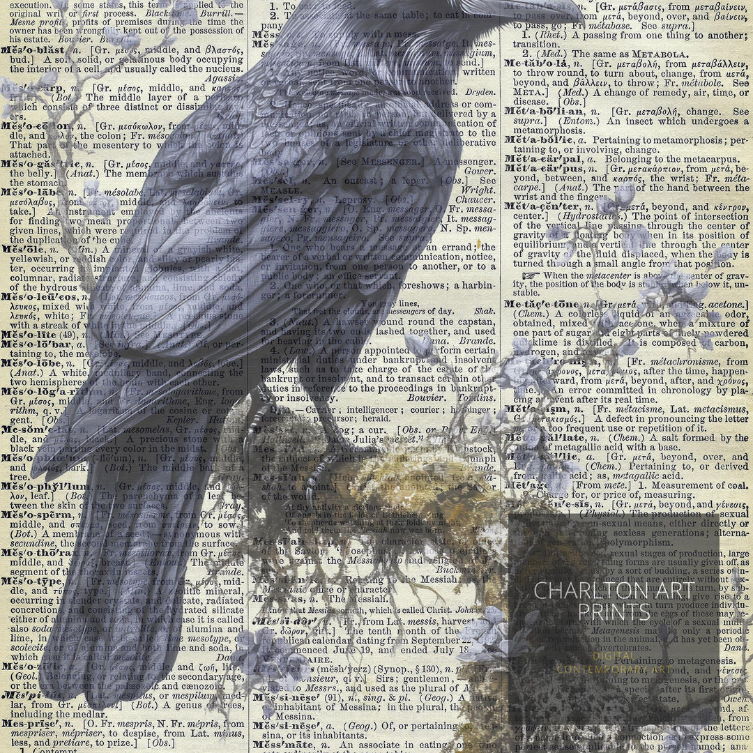Raven Encyclopedia Poster Vintage Nature Wall Art Cottagecore Decor Scientific Bird Illustration Print for Cozy Homes and Nature Inspired