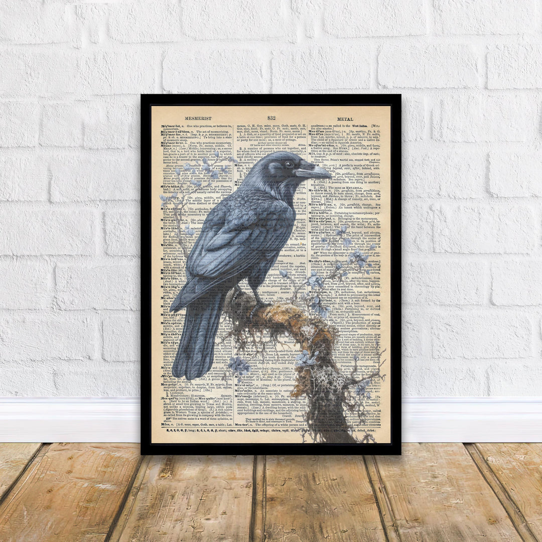 Raven Encyclopedia Poster Vintage Nature Wall Art Cottagecore Decor Scientific Bird Illustration Print for Cozy Homes and Nature Inspired