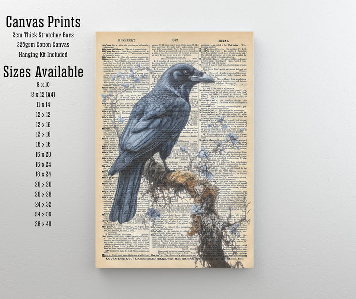 Raven Encyclopedia Poster Vintage Nature Wall Art Cottagecore Decor Scientific Bird Illustration Print for Cozy Homes and Nature Inspired