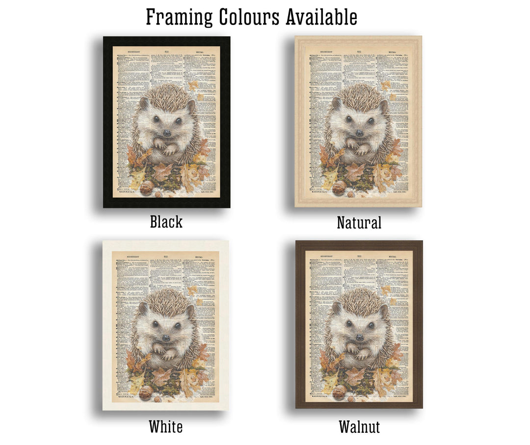 Hedgehog Encyclopedia Poster Vintage Nature Wall Art Cottagecore Decor Scientific Animal Illustration Print for Cozy Homes and Nature