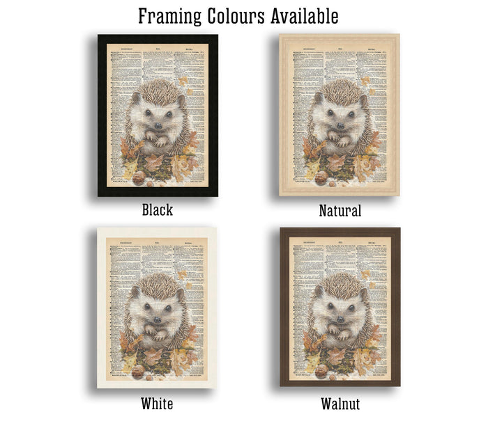 Hedgehog Encyclopedia Poster Vintage Nature Wall Art Cottagecore Decor Scientific Animal Illustration Print for Cozy Homes and Nature