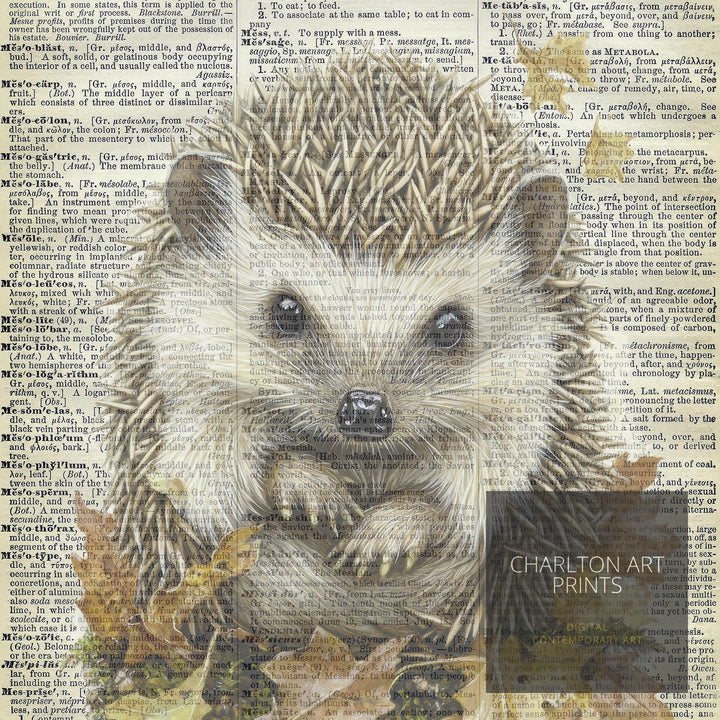 Hedgehog Encyclopedia Poster Vintage Nature Wall Art Cottagecore Decor Scientific Animal Illustration Print for Cozy Homes and Nature