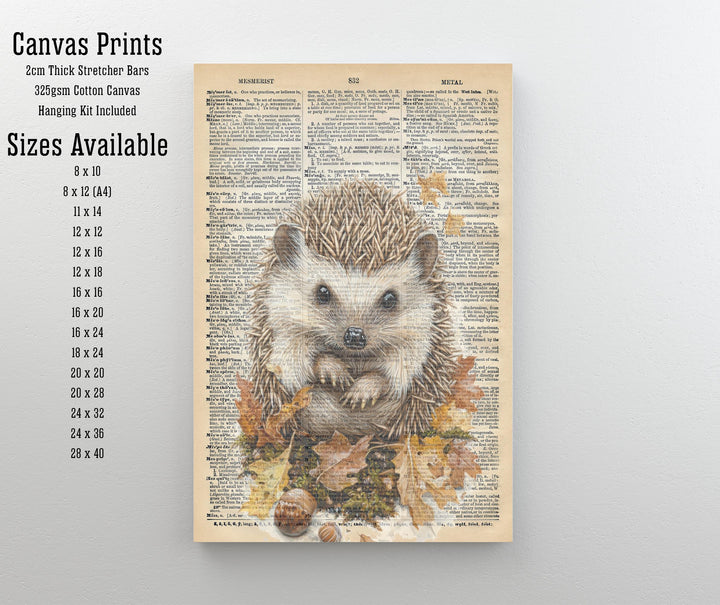 Hedgehog Encyclopedia Poster Vintage Nature Wall Art Cottagecore Decor Scientific Animal Illustration Print for Cozy Homes and Nature