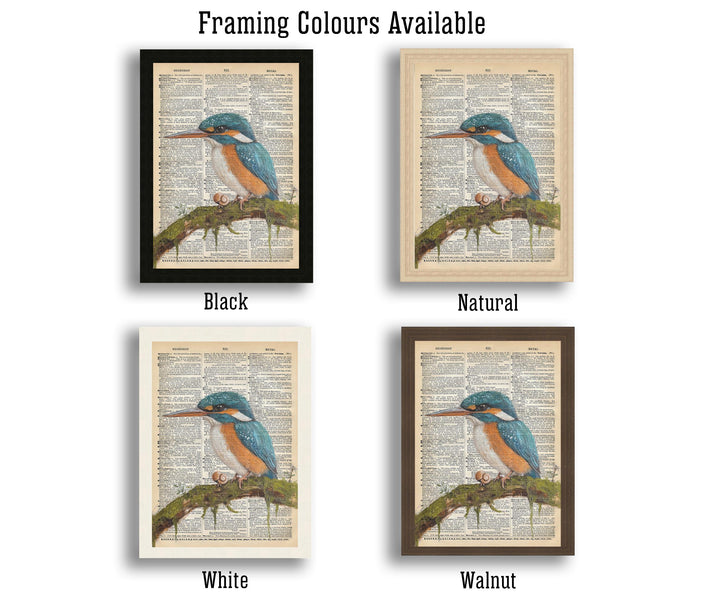 Kingfisher Encyclopedia Poster Vintage Nature Wall Art Cottagecore Decor Scientific Bird Illustration Print for Cozy Homes and Nature