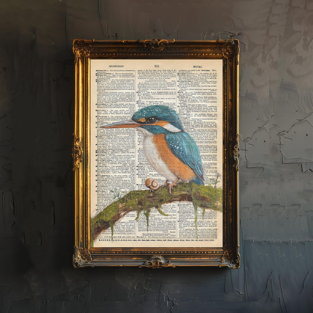 Kingfisher Encyclopedia Poster Vintage Nature Wall Art Cottagecore Decor Scientific Bird Illustration Print for Cozy Homes and Nature