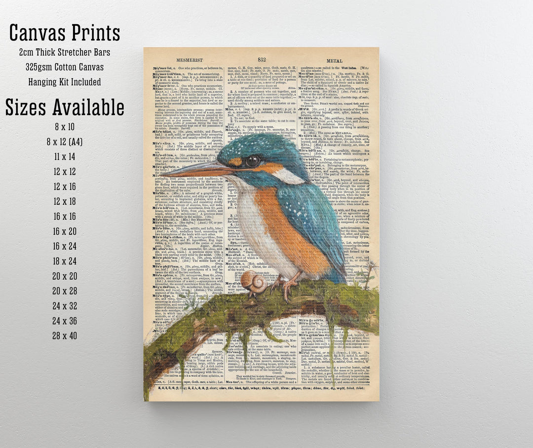 Kingfisher Encyclopedia Poster Vintage Nature Wall Art Cottagecore Decor Scientific Bird Illustration Print for Cozy Homes and Nature