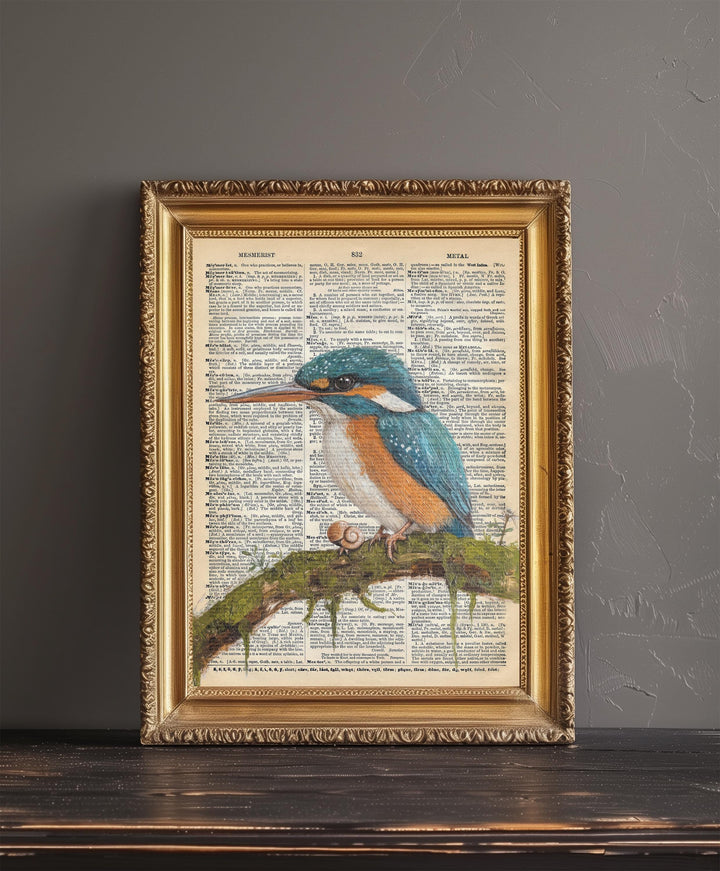 Kingfisher Encyclopedia Poster Vintage Nature Wall Art Cottagecore Decor Scientific Bird Illustration Print for Cozy Homes and Nature