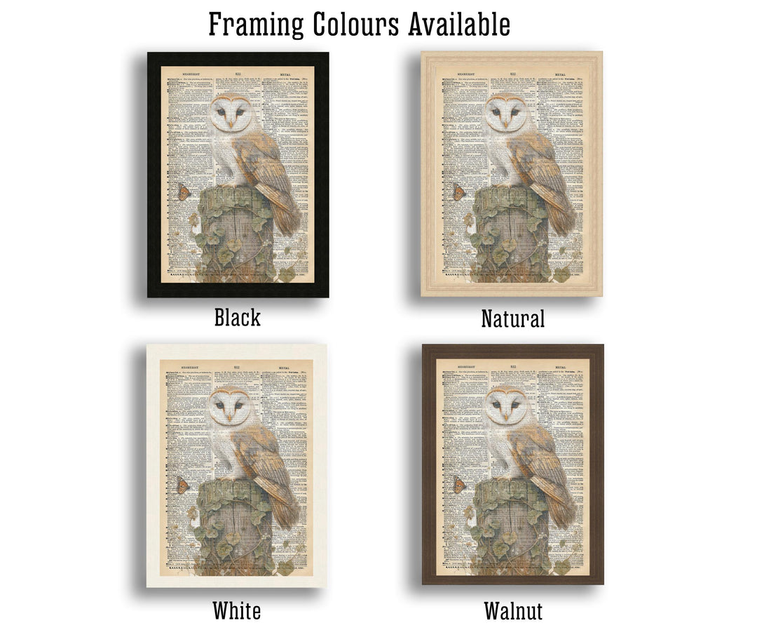 Barn Owl Encyclopedia Poster Vintage Nature Wall Art Cottagecore Decor Scientific Bird Illustration Print for Cozy Homes and Nature Inspired