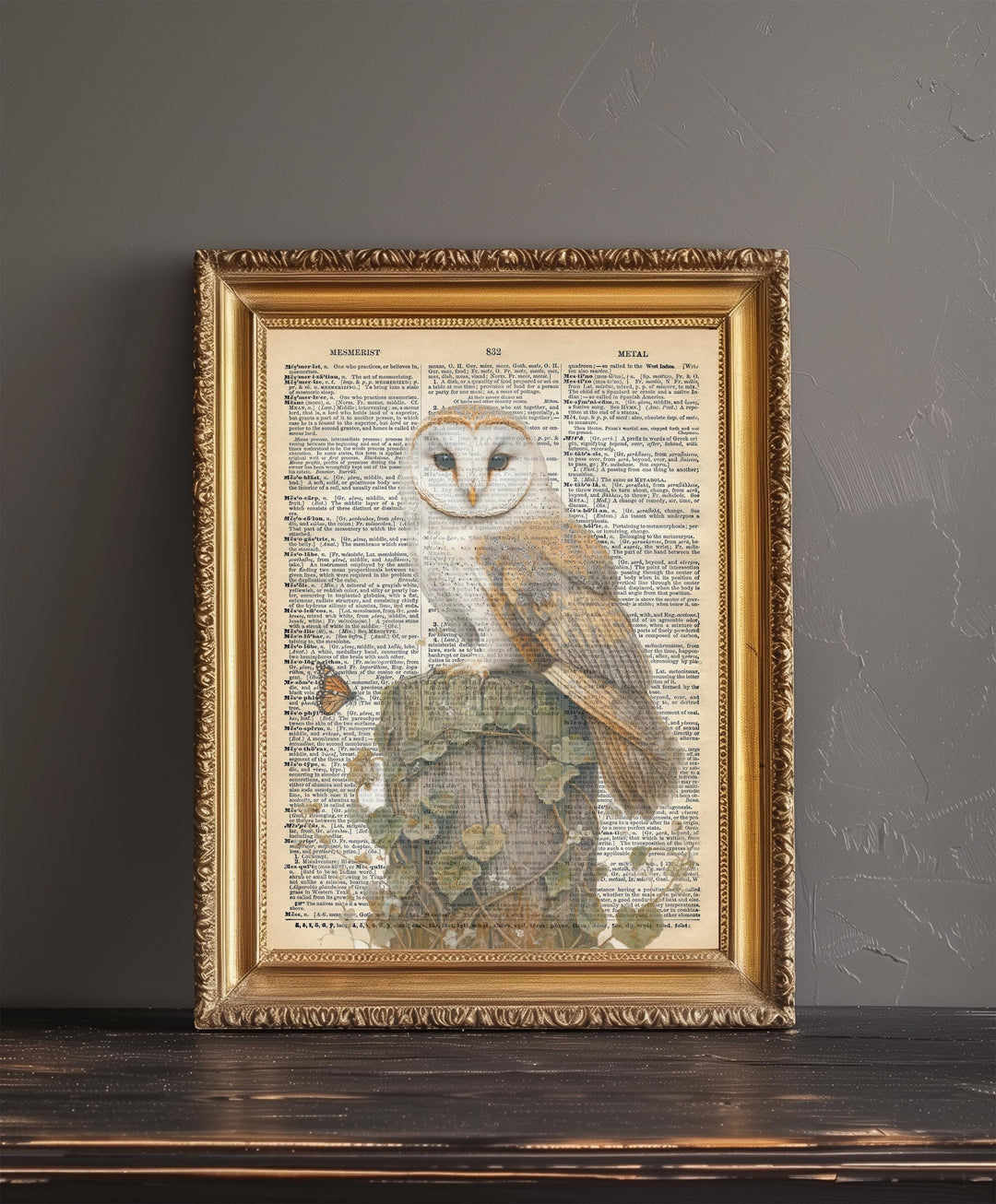 Barn Owl Encyclopedia Poster Vintage Nature Wall Art Cottagecore Decor Scientific Bird Illustration Print for Cozy Homes and Nature Inspired