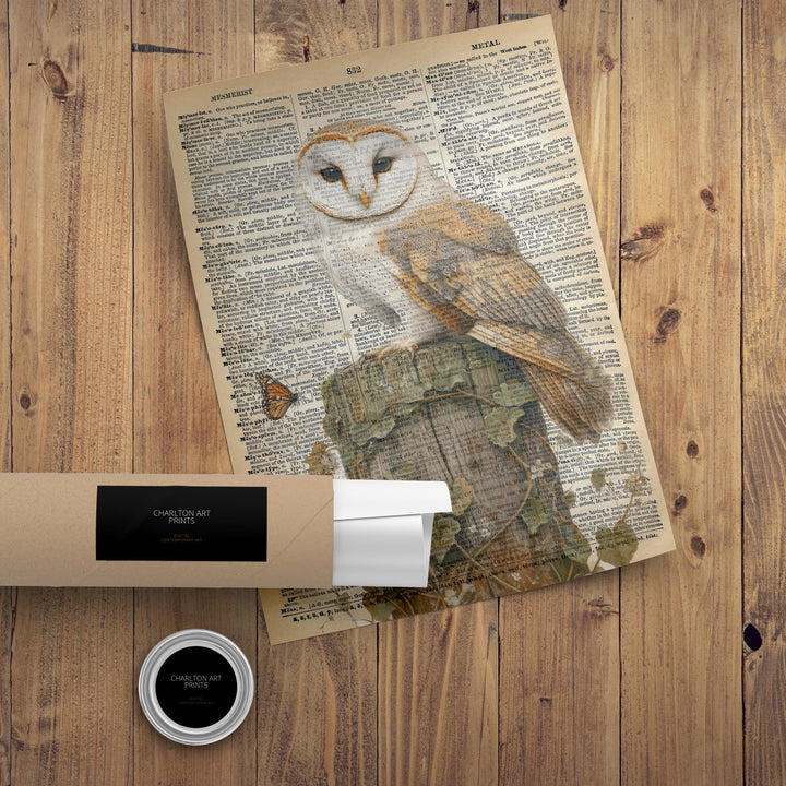 Barn Owl Encyclopedia Poster Vintage Nature Wall Art Cottagecore Decor Scientific Bird Illustration Print for Cozy Homes and Nature Inspired