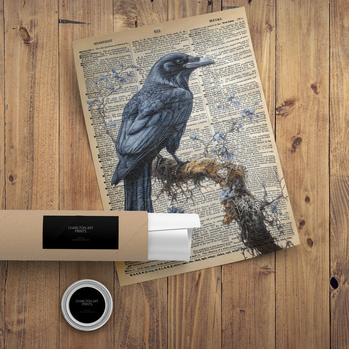Raven Encyclopedia Poster Vintage Nature Wall Art Cottagecore Decor Scientific Bird Illustration Print for Cozy Homes and Nature Inspired