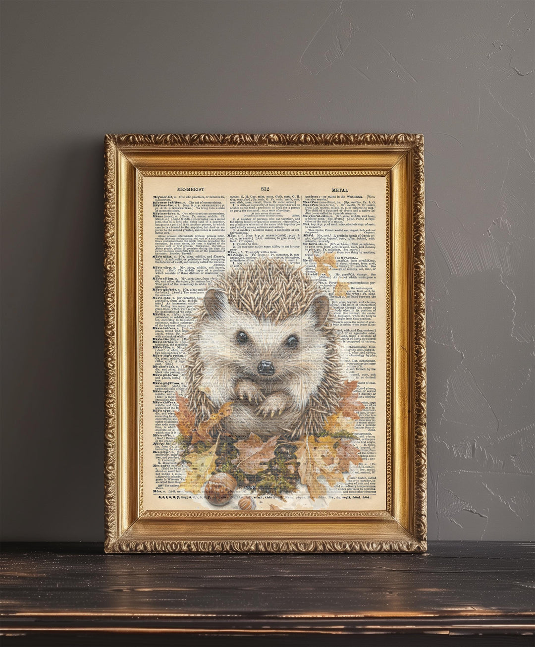 Hedgehog Encyclopedia Poster Vintage Nature Wall Art Cottagecore Decor Scientific Animal Illustration Print for Cozy Homes and Nature