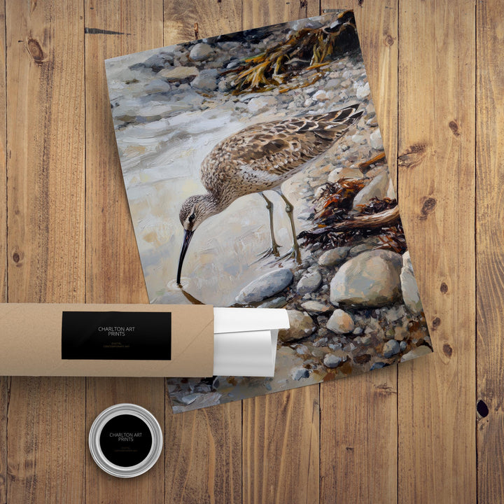 Curlew on Pebbled Beach Poster Cottagecore Decor Dark Academia Art Enchanted Bird Illustration Vintage Nature Wall Art Rustic Aesthetic