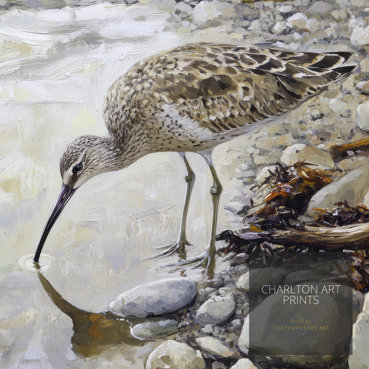 Curlew on Pebbled Beach Poster Cottagecore Decor Dark Academia Art Enchanted Bird Illustration Vintage Nature Wall Art Rustic Aesthetic