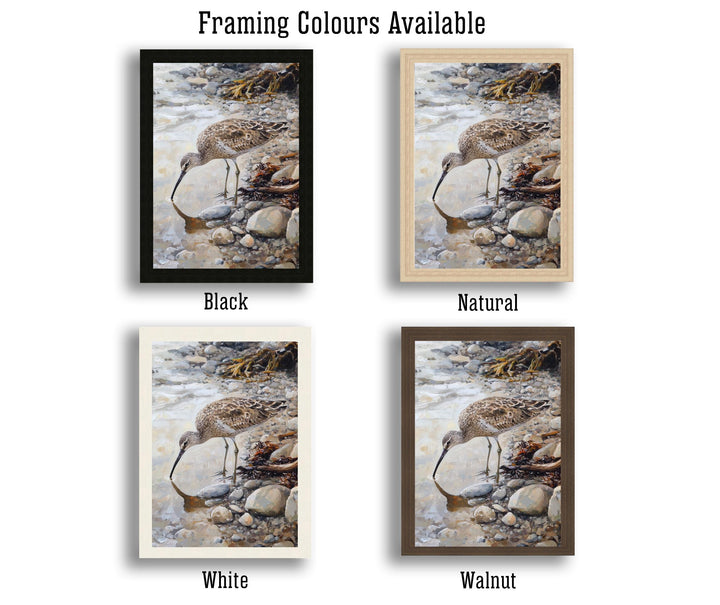 Curlew on Pebbled Beach Poster Cottagecore Decor Dark Academia Art Enchanted Bird Illustration Vintage Nature Wall Art Rustic Aesthetic