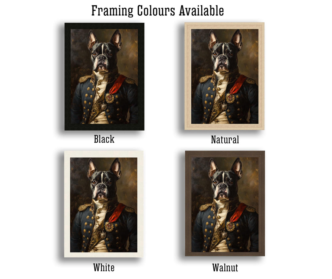 Boston Terrier Portrait Poster Regal Pet Art Vintage Animal Illustration Humorous Wall Decor Dog Lover Gift