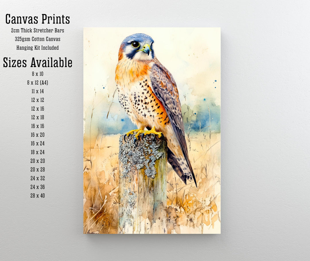 Kestrel Watercolour Painting Poster Cottagecore Decor Nature Art Vintage Wildlife Illustration Rustic Countryside Wall Art Poster Print