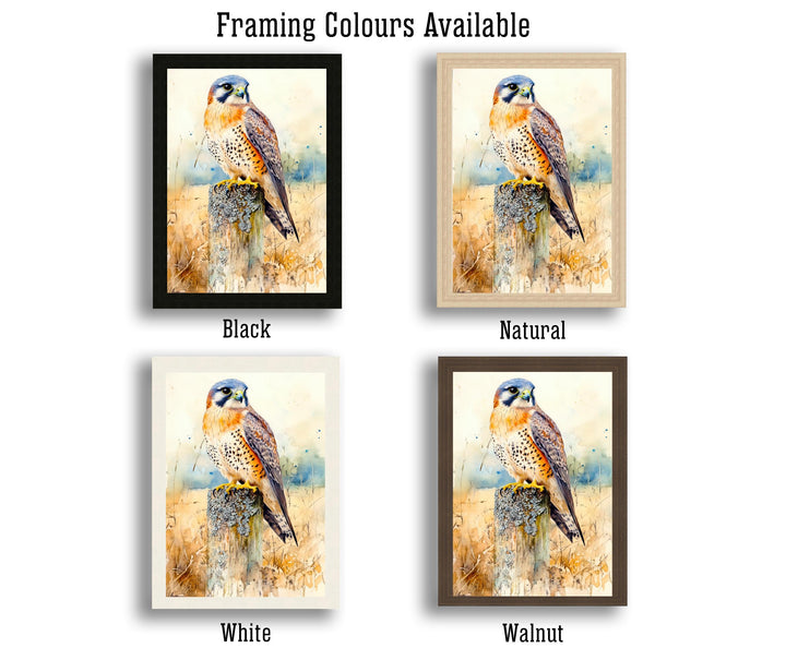 Kestrel Watercolour Painting Poster Cottagecore Decor Nature Art Vintage Wildlife Illustration Rustic Countryside Wall Art Poster Print