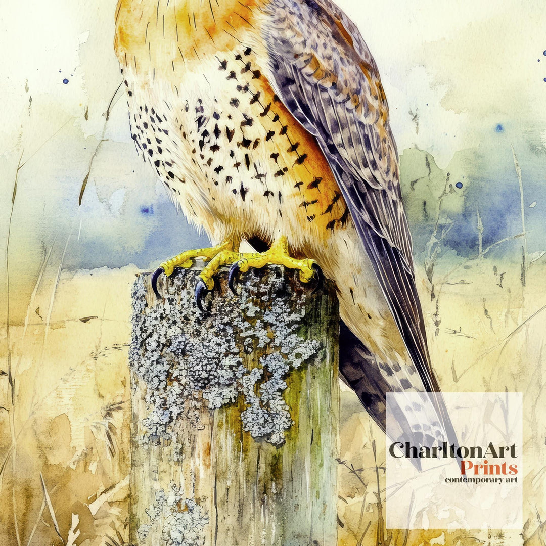 Kestrel Watercolour Painting Poster Cottagecore Decor Nature Art Vintage Wildlife Illustration Rustic Countryside Wall Art Poster Print