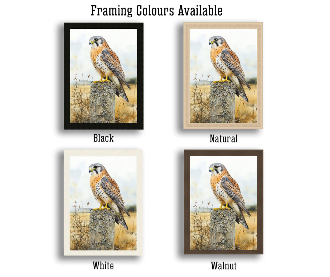Kestrel Perched on a Fence Watercolour Poster Cottagecore Decor Nature Art Vintage Wildlife Illustration Rustic Countryside Wall Art