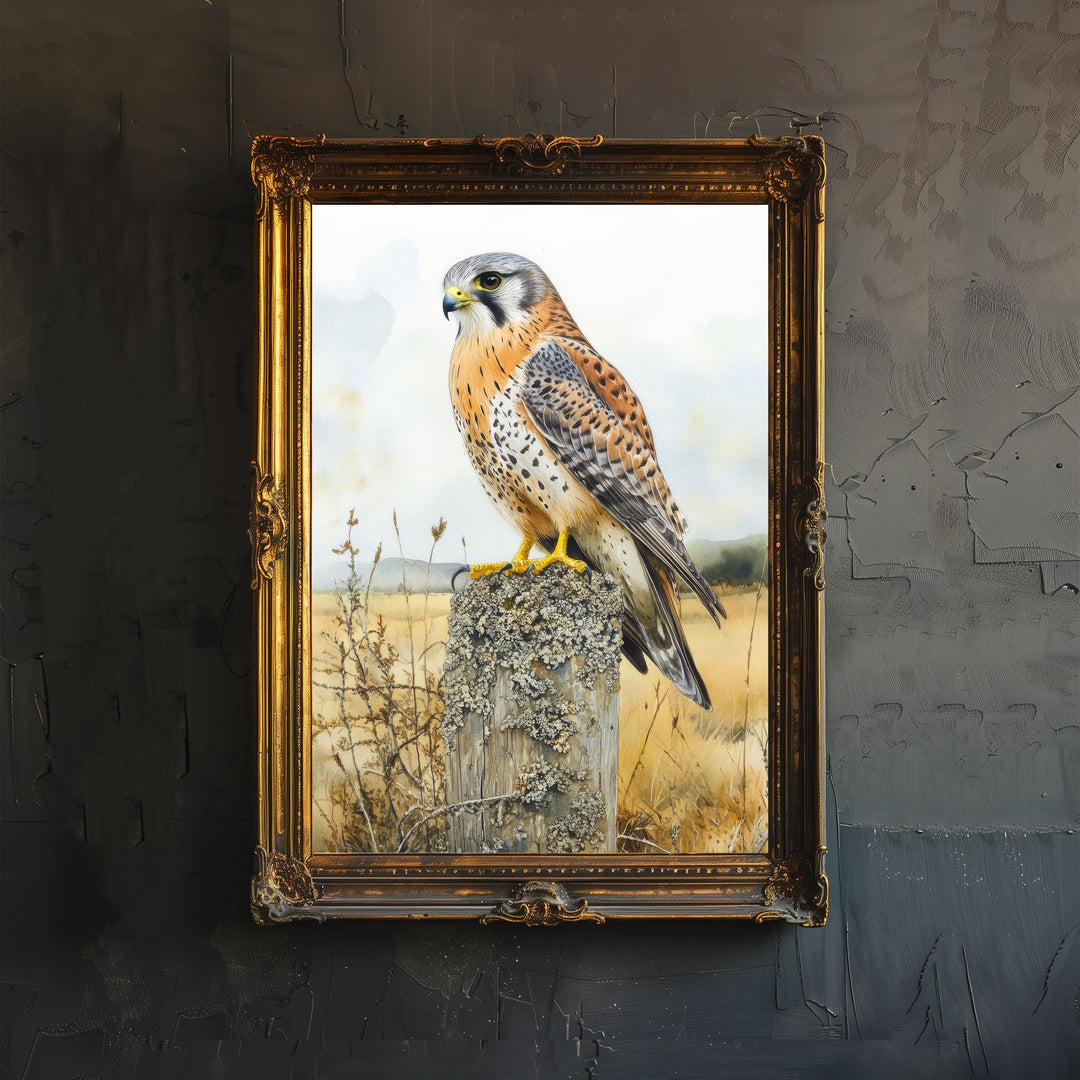 Kestrel Perched on a Fence Watercolour Poster Cottagecore Decor Nature Art Vintage Wildlife Illustration Rustic Countryside Wall Art