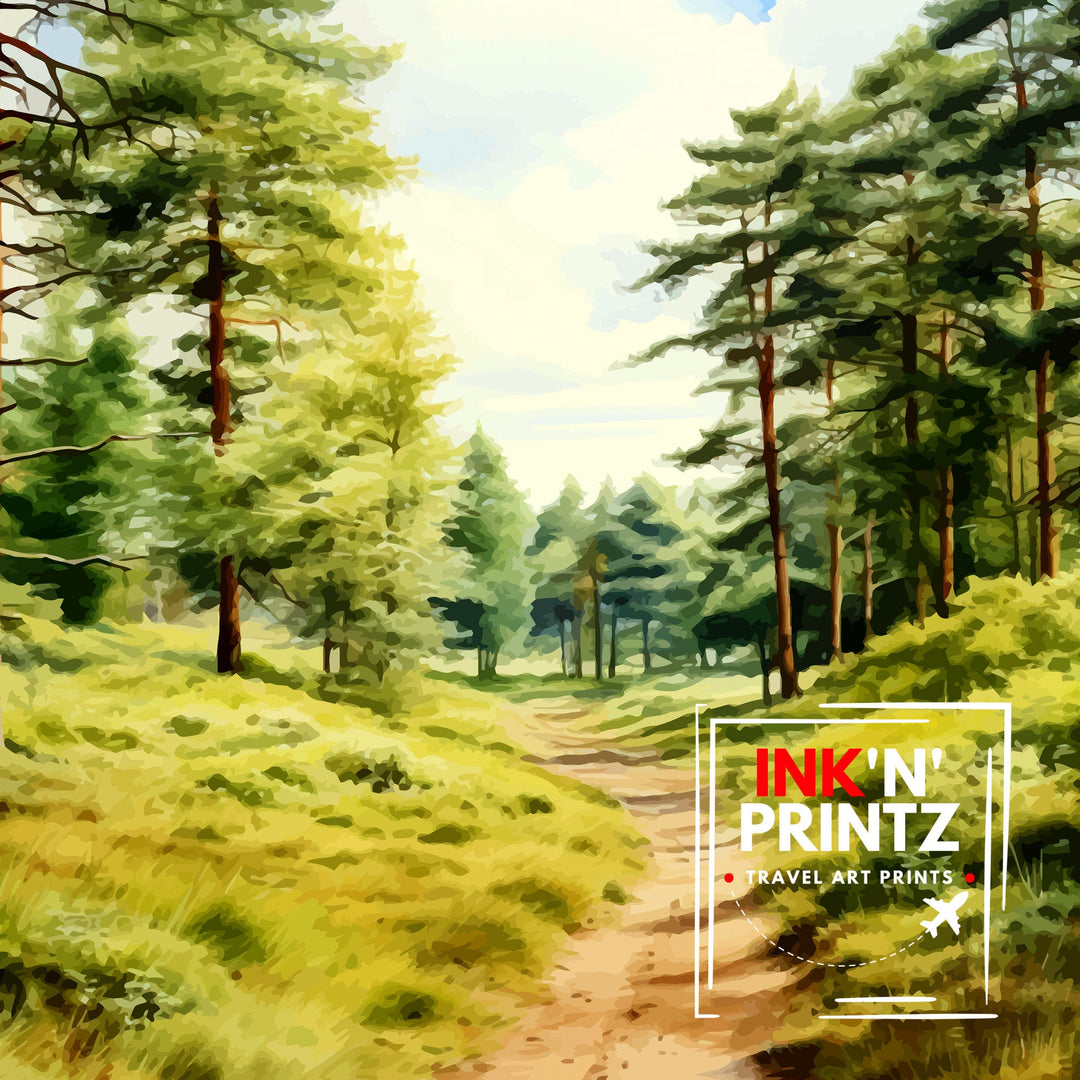 Cannock Chase AONB Print Staffordshire Nature Reserve Art Cannock Chase Poster English Woodland Wall Decor UK Wildlife Area Illustration